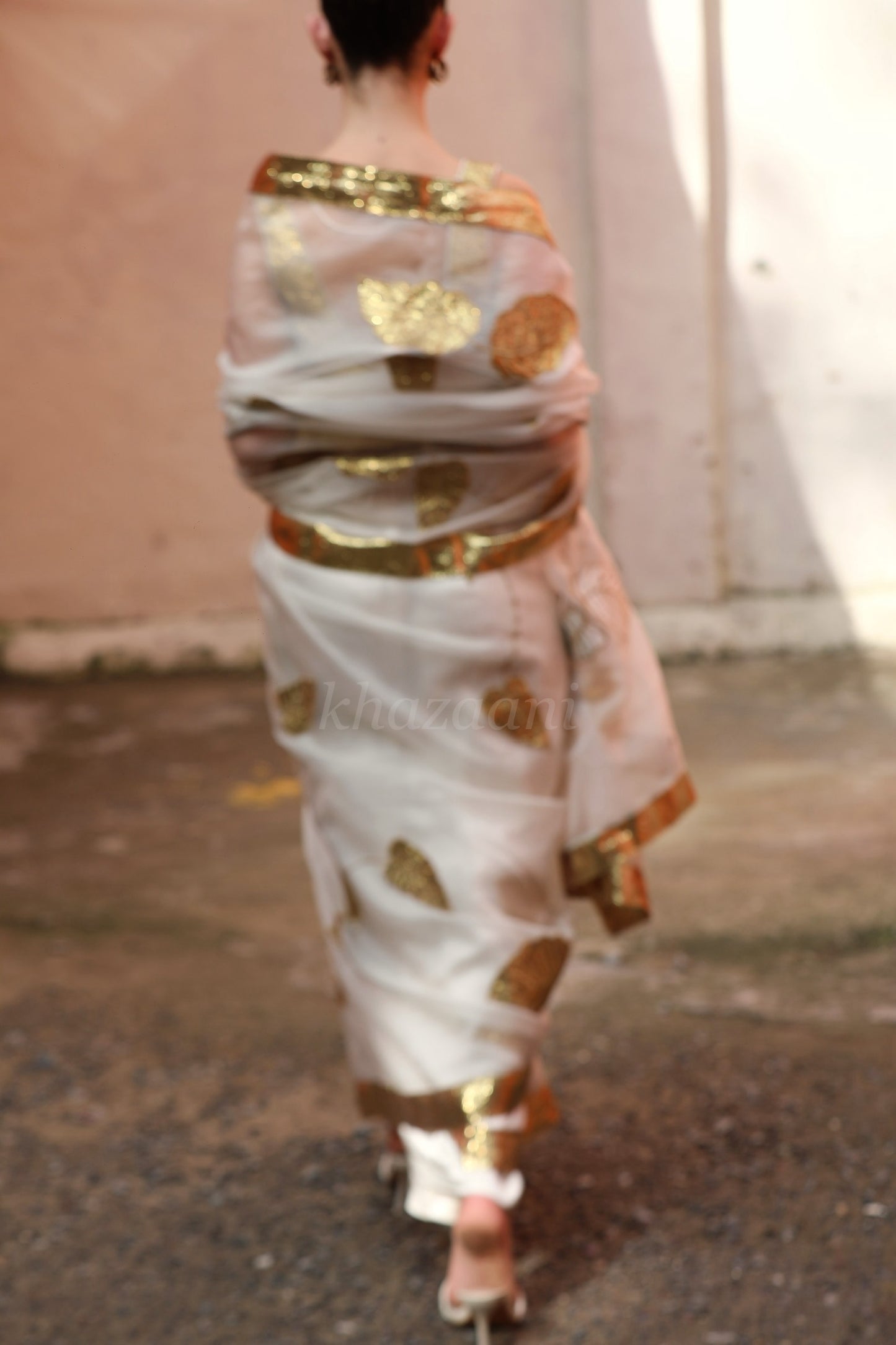 Khazaani sari
