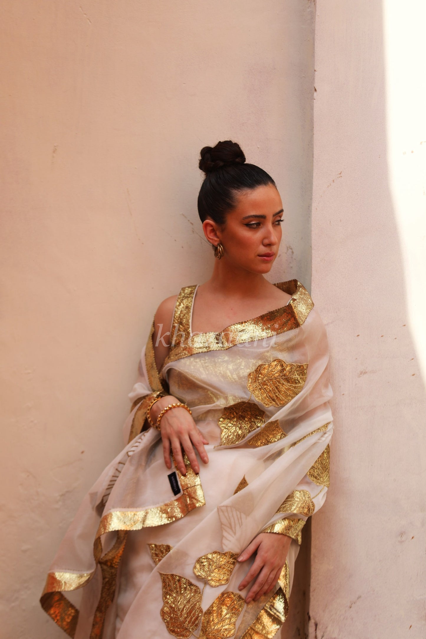 Khazaani sari