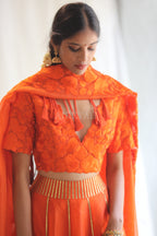 Shamli Ghagra