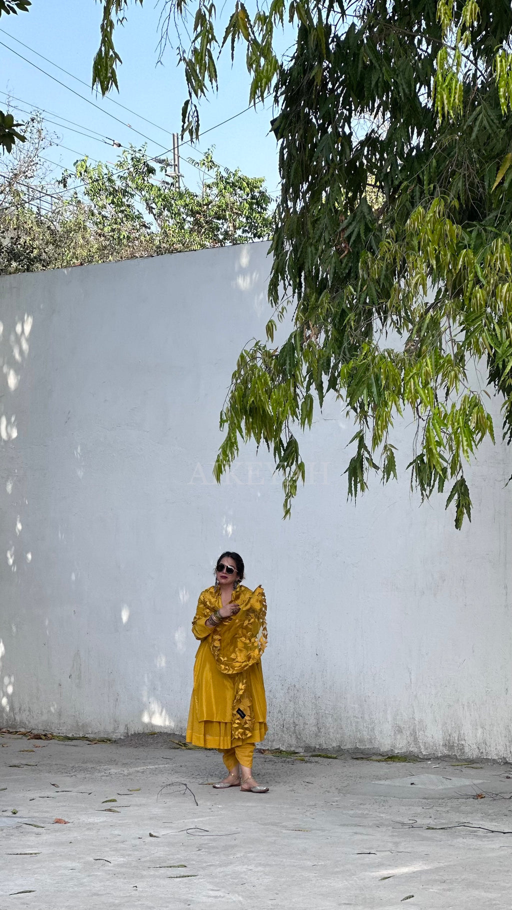 Vaisakhi