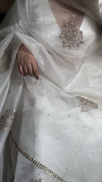 Rumi sari