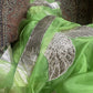 Khazaani sari