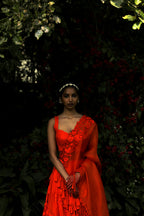 Daksha