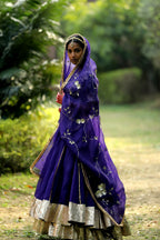 Gulaal Ghagra
