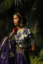 Gulaal Ghagra