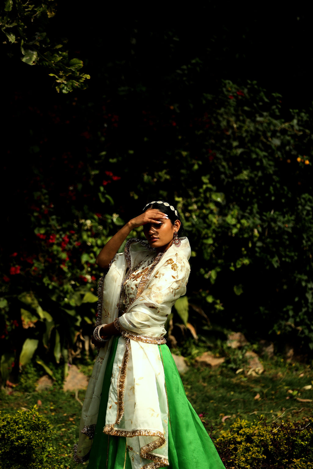 Gulaal Ghagra