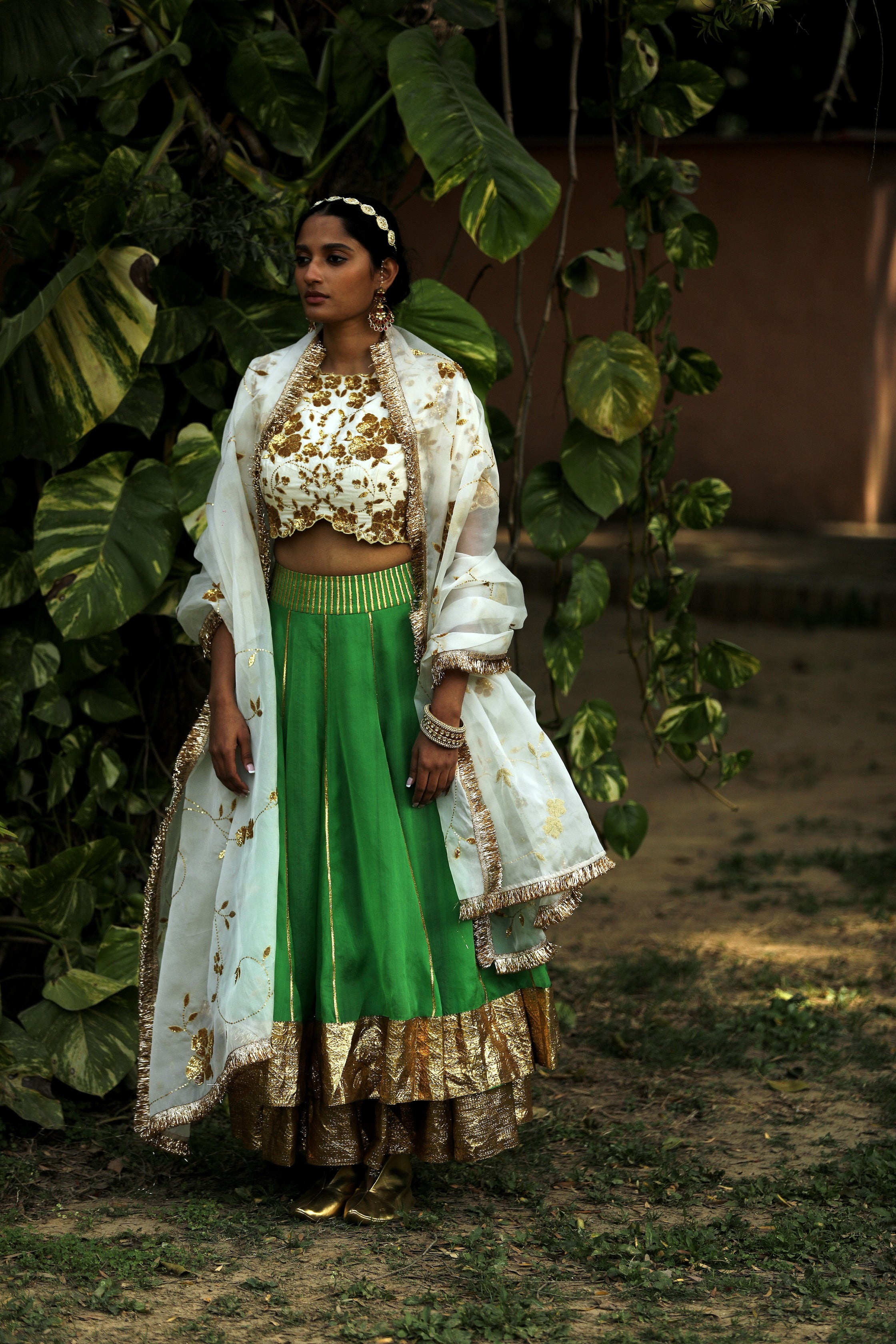 Gulaal Ghagra